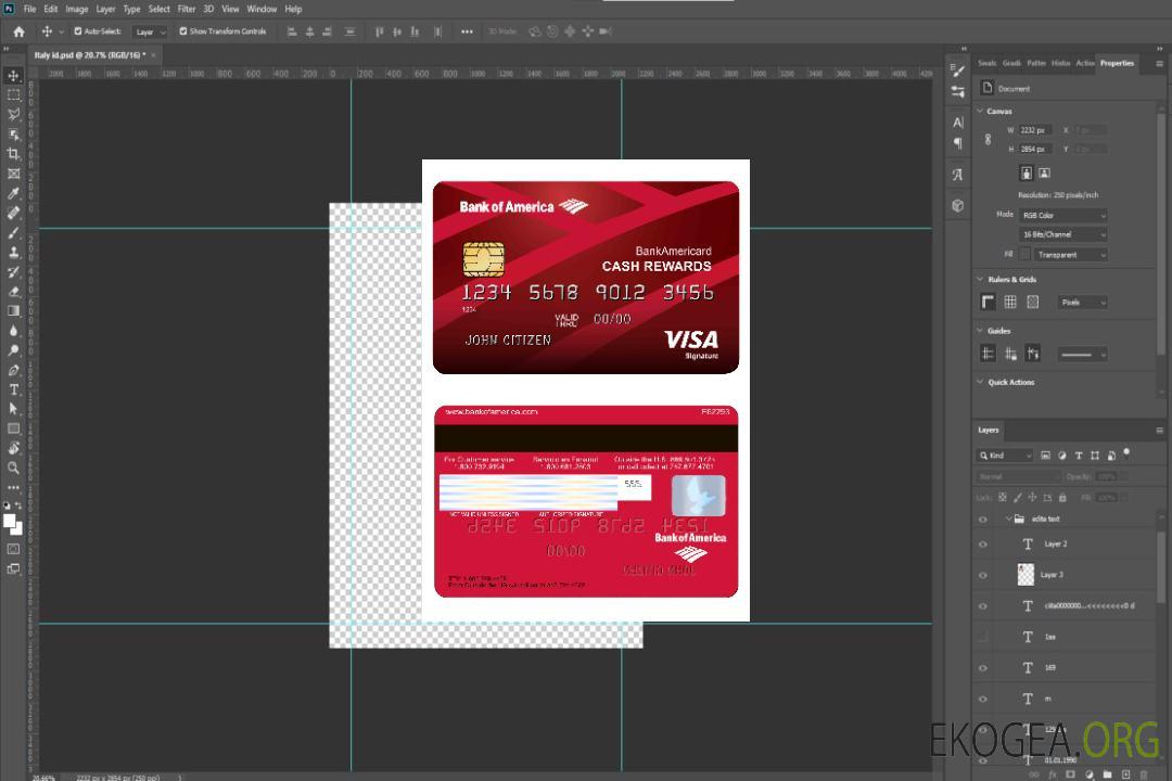 Carte Visa 1 de la Bank of America des États-Unis template Carte Visa 1 de la Bank of America des États-Unis template